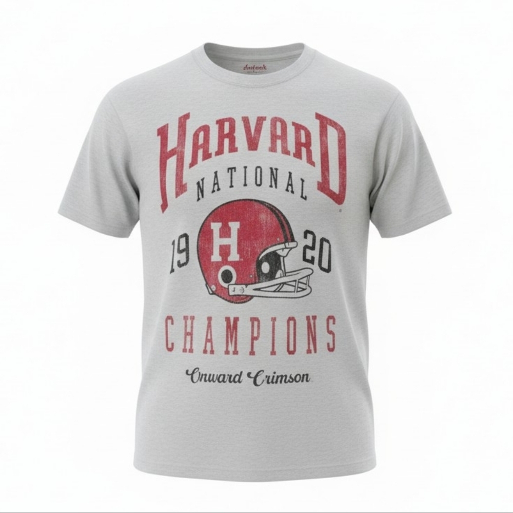 Veritas Gray and Red Graphic T-Shirt